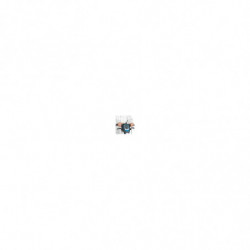 Слотер (однодискова машина) Fimp FM43G