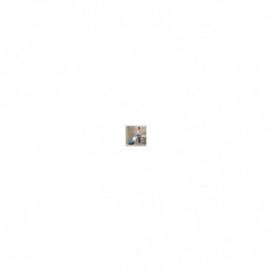 Слотер (однодискова машина) Fimp FM43G